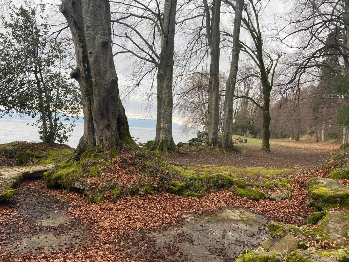 Bord De Lac,2 Chambres Superbe Vue Lac 5Mn Evian Lugrin Eksteriør bilde